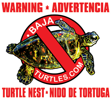 BAJATURTLES